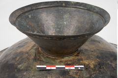 Foto von Bronzebreitrandfußschale (NHMW-PRAE-025274)